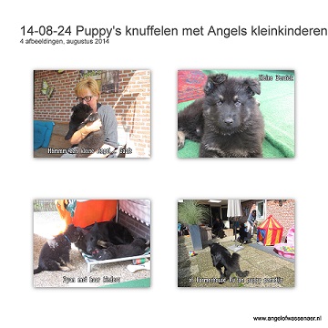 In Friesland knuffelen met Angels kleinkinderen, de pups van Derrick & Dyan